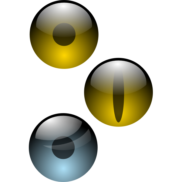 SVG Reflective human eye pupils vector image