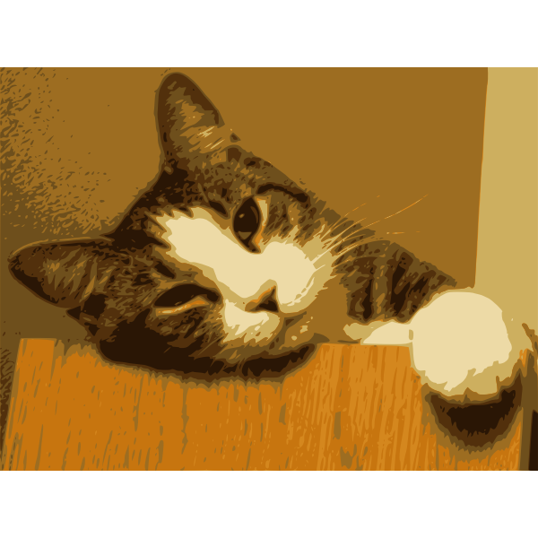 SVG Relaxed cat just woken up vector image
