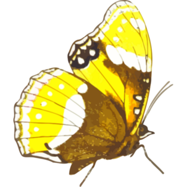 SVG Retro butterfly