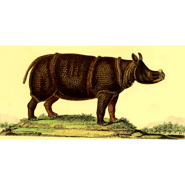 SVG Rhinoceros in nature