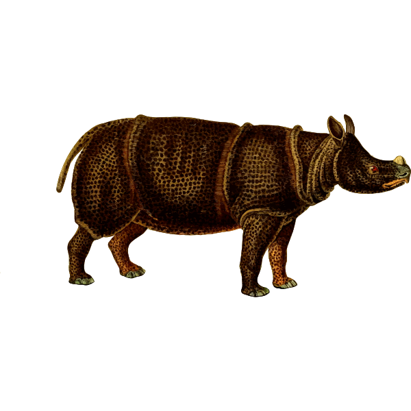 SVG Rhinoceros vector image