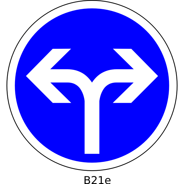 SVG Right or left direction only road sign vector image