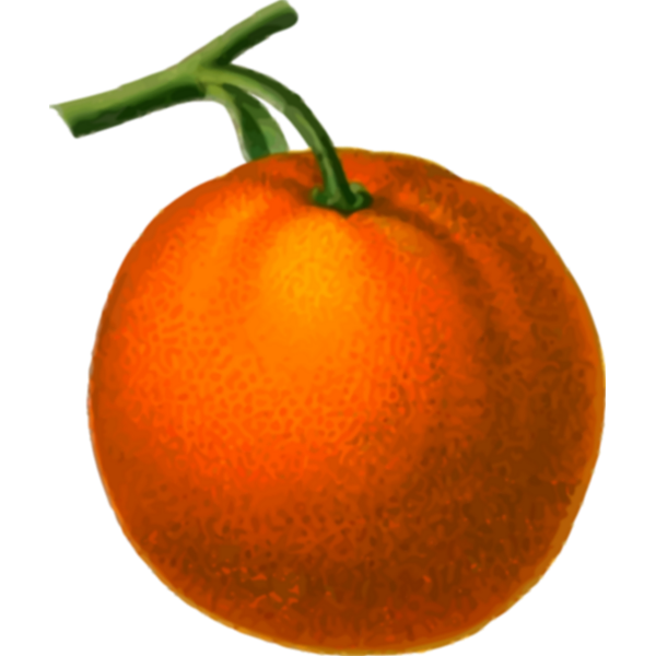 SVG Ripe orange