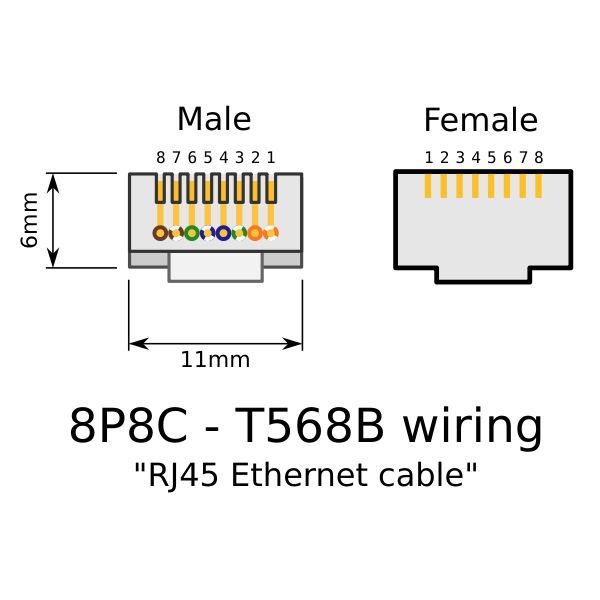 SVG RJ 45 plug and jack