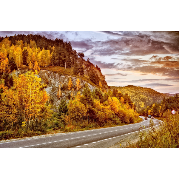 SVG Road In The Mountains