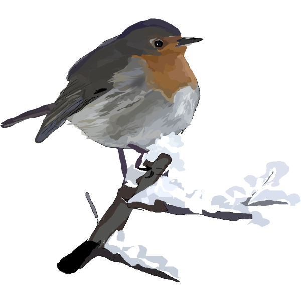 SVG Robin