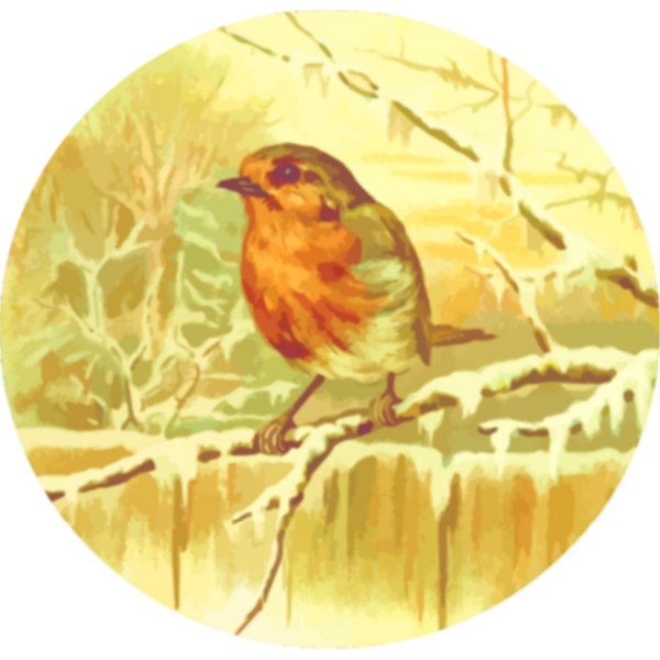 SVG Robin image