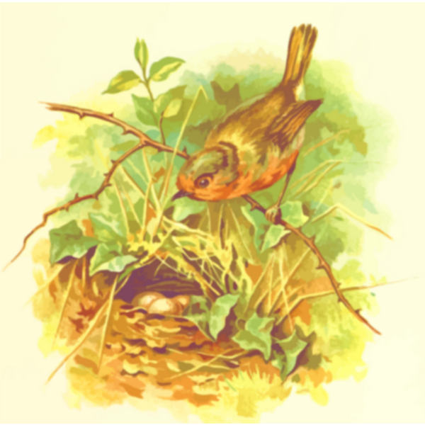 SVG Robin039s nest