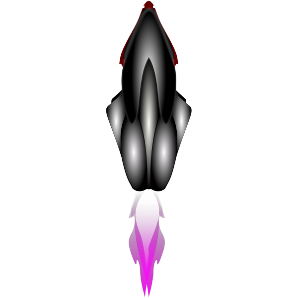 SVG Rocket launched into space