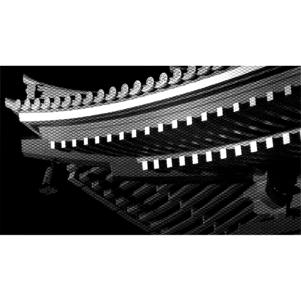 SVG Roof details vector image