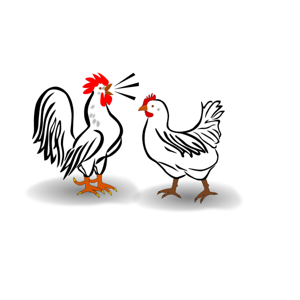 SVG Rooster and chicken