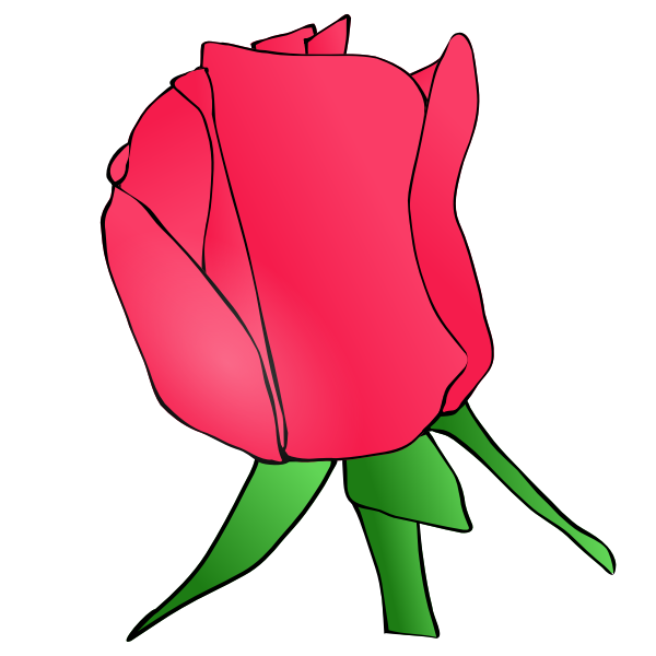 SVG Rose