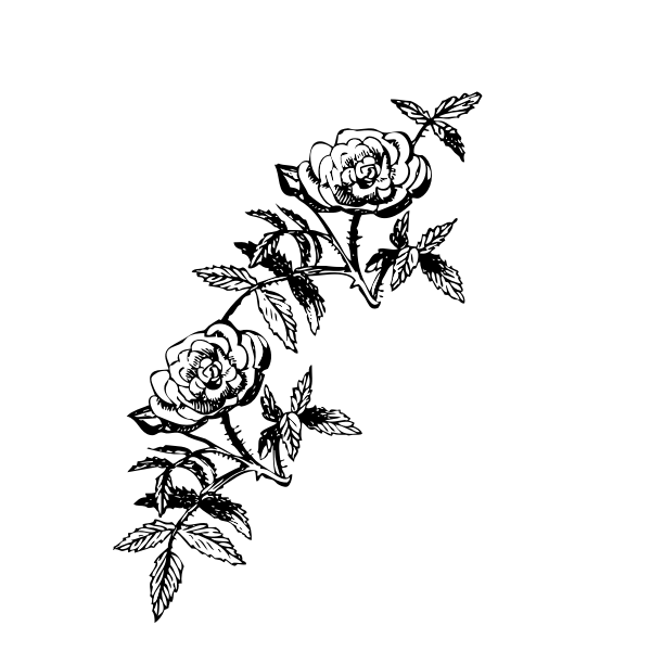 SVG Rose decoration