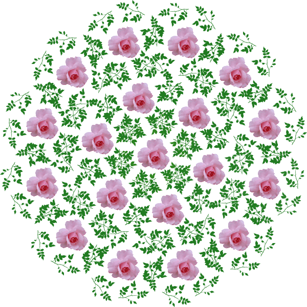 SVG Rose design