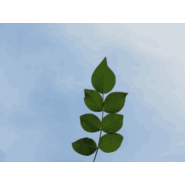 SVG Rose leaves