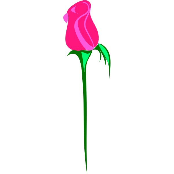 SVG Rose on white background vector image