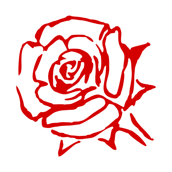 SVG Rose sketch