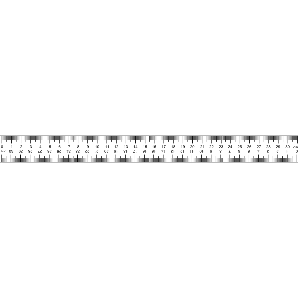 SVG Ruler 31cm