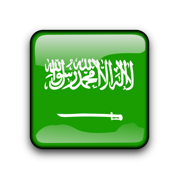 SVG sa