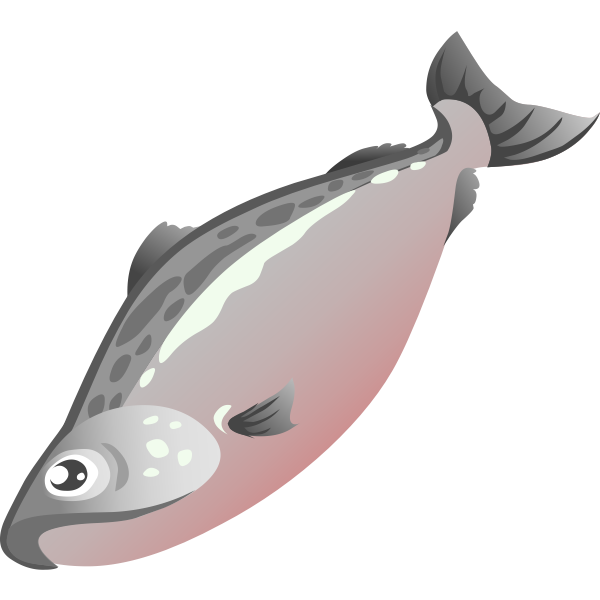 SVG Salmon fish image