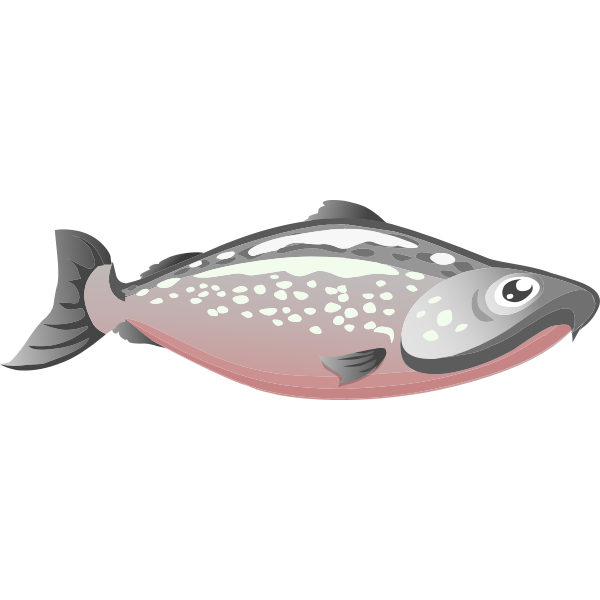SVG Salmon image