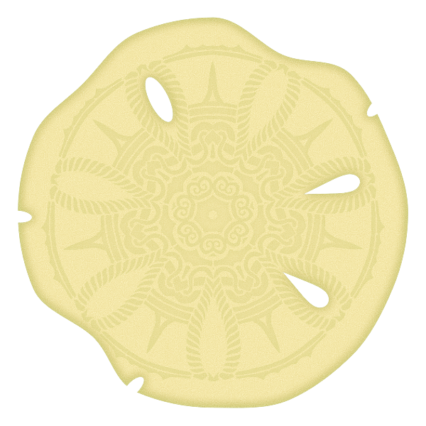 SVG Sand Dollar Skeleton