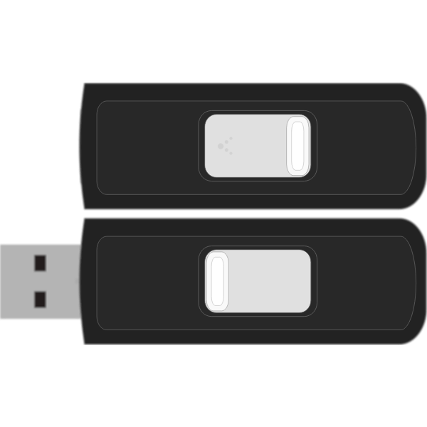 SVG Sandisk Cruzer Micro 4GB flash drive vector image