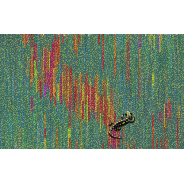 SVG Saucy Salamander retexture