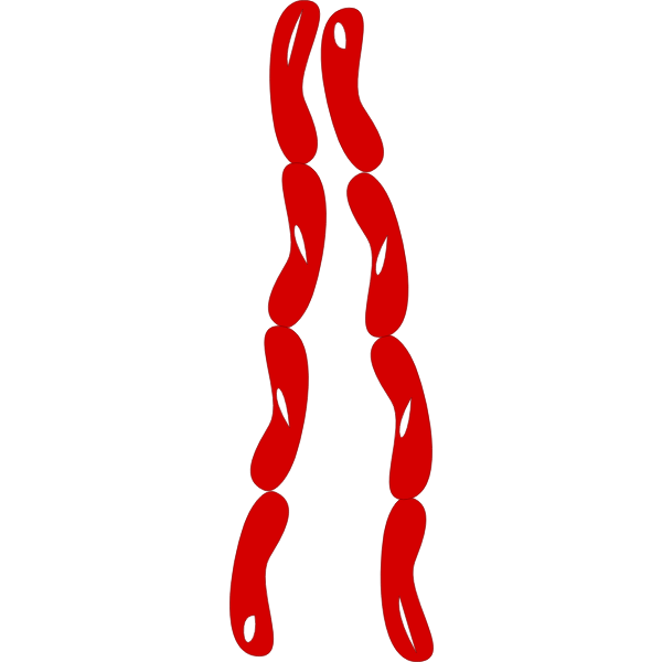 SVG Sausages
