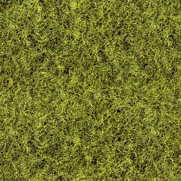 SVG Savanna