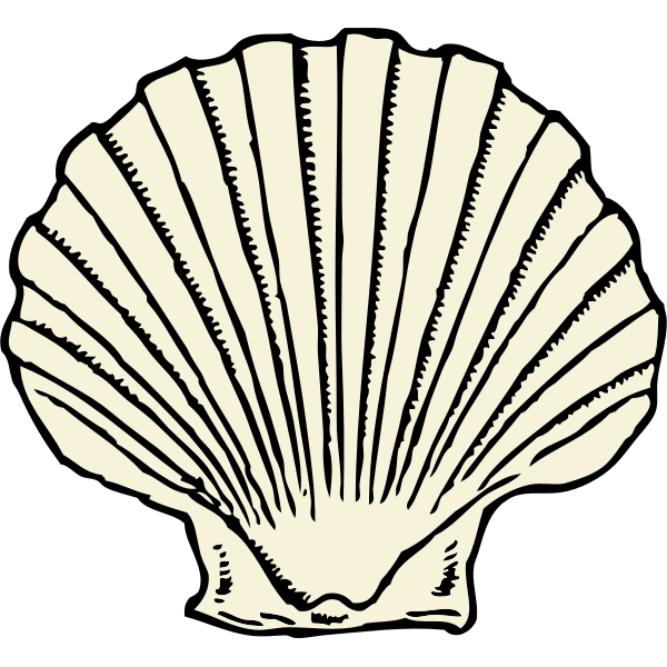SVG scallop shell