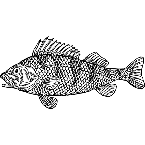 SVG scaly fish