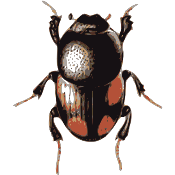 SVG Scarab beetle