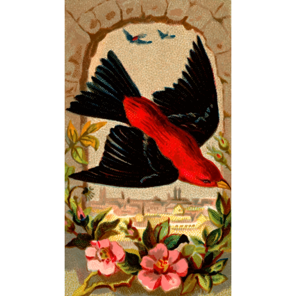 SVG Scarlet Tanager