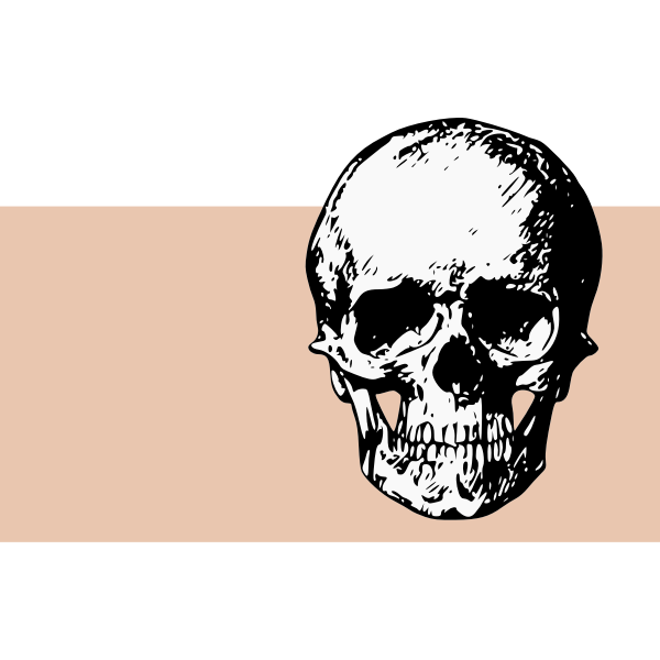 SVG Scary skull