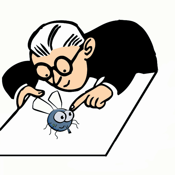 SVG Scientist and fly