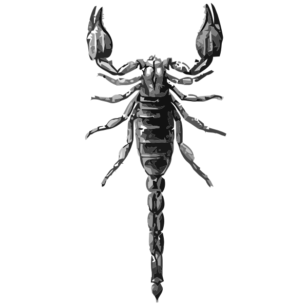 SVG Scorpion grayscale vector drawing