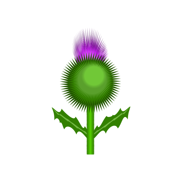 SVG Scottish thistle
