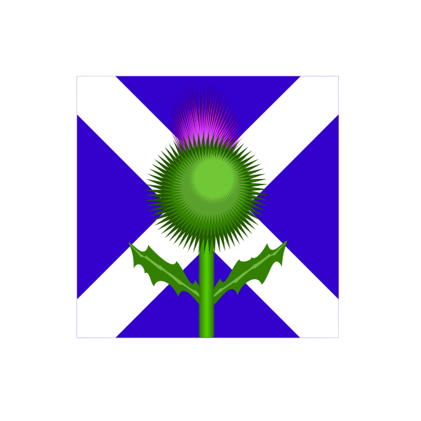SVG Scottish thistle and flag vector image