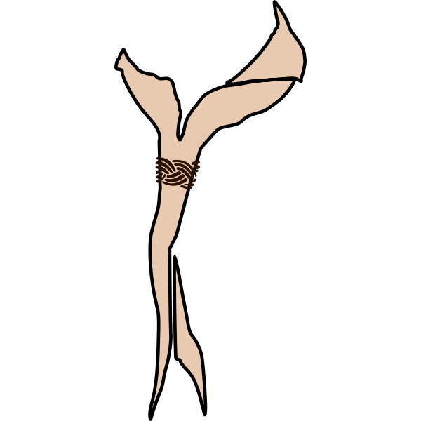 SVG scout scarf