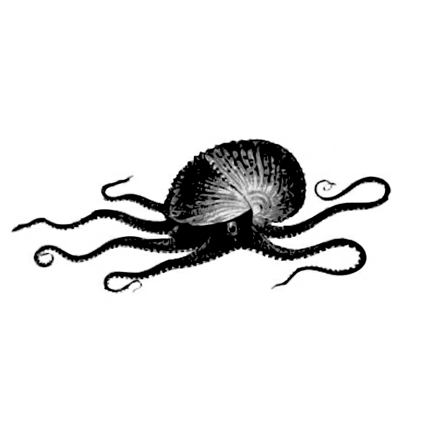 SVG Sea animal drawing