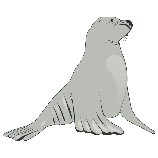 SVG Sea lion vector image