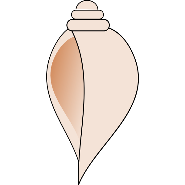 SVG Sea shell