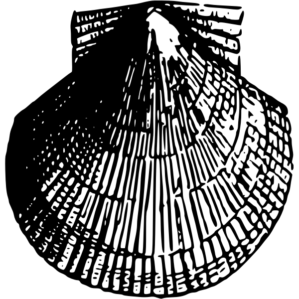 SVG Sea Shell 4