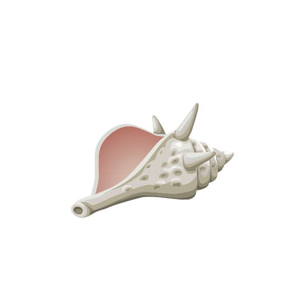 SVG Sea shell on white background