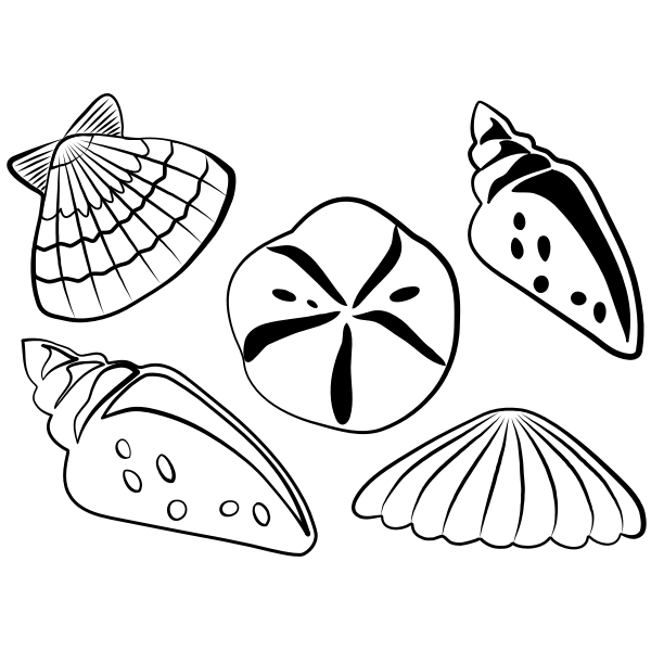 SVG Sea shells vector illustration