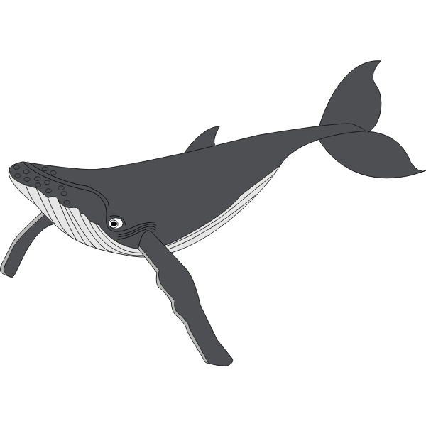SVG Sea039s biggest mammal cartoon image