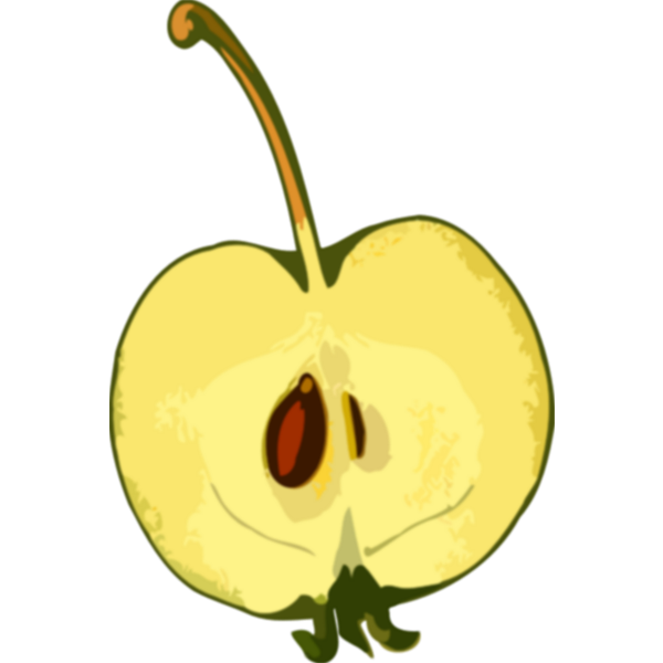 SVG Seed and apple