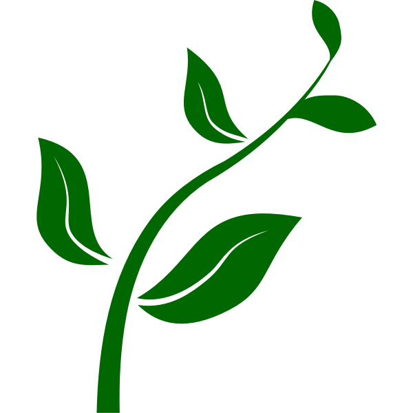 SVG Seeding