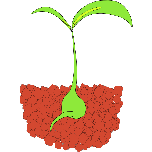 SVG Seedling